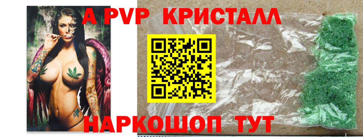APVP СК КРИС Асино