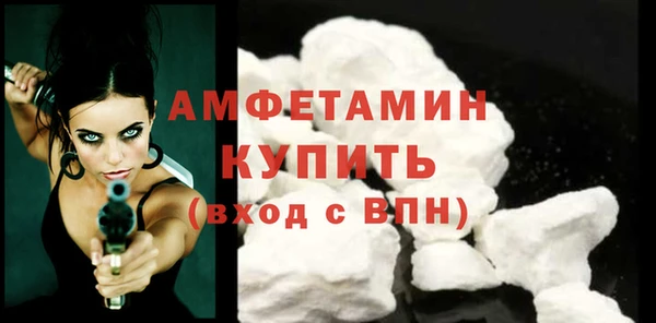сатива Покачи